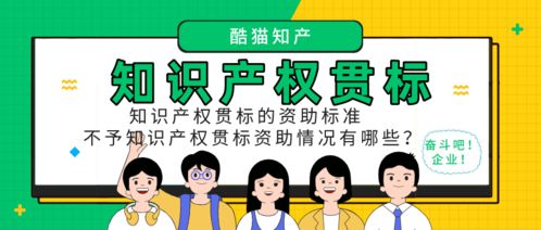 知識(shí)產(chǎn)權(quán)貫標(biāo)資助標(biāo)準(zhǔn)與不資助情況解析