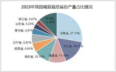 2024年褐菇市場分析 批發價穩健，消費潛力待深挖